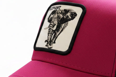 Gorra Unisex edición Animal Print — ELEPHANT
