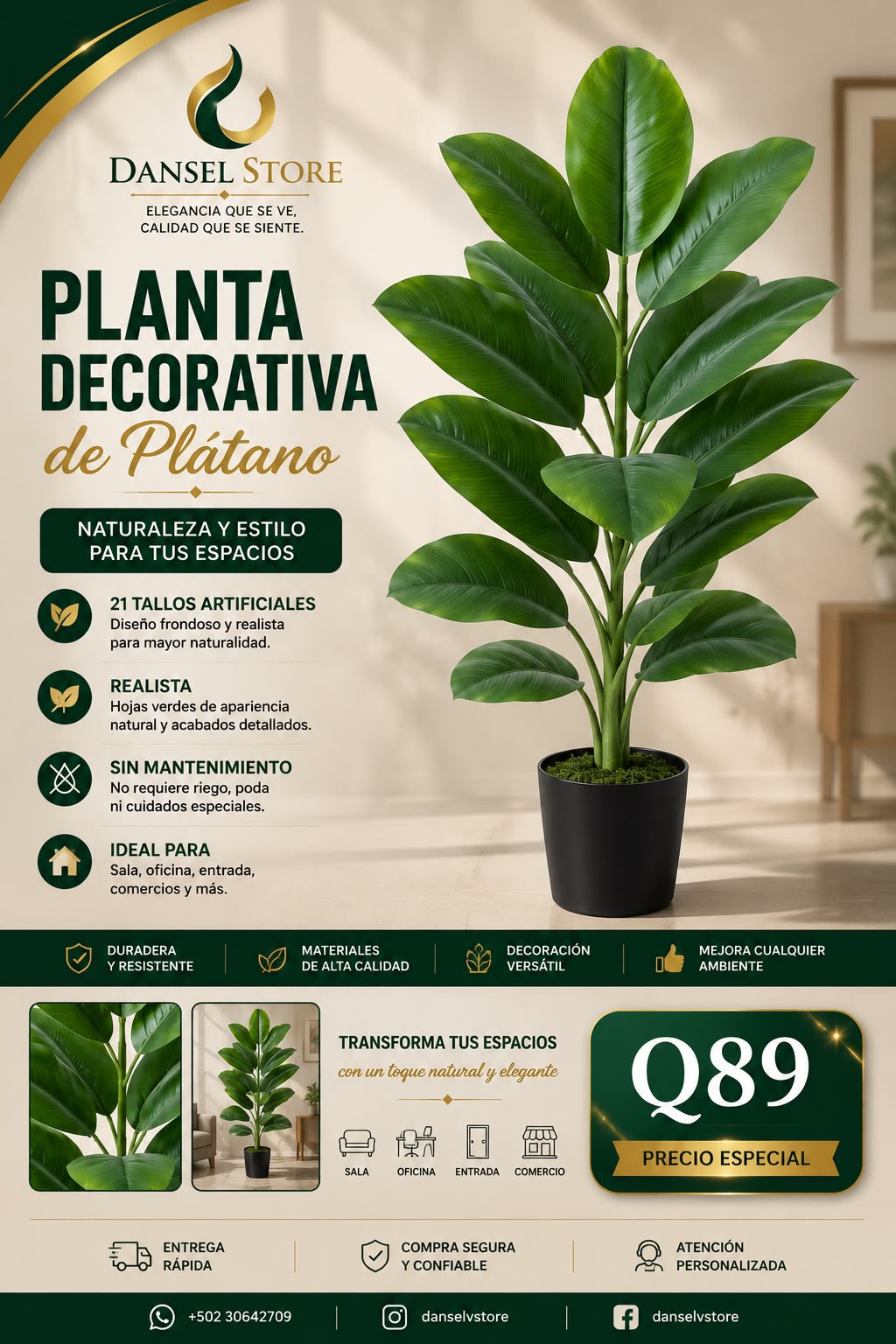 Planta Decorativa de Plátano